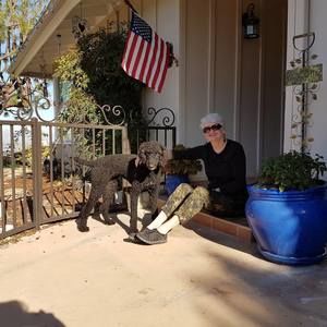 Meet your Posher, Patricia